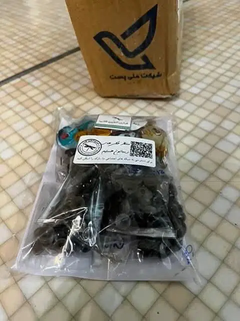 عکس 2