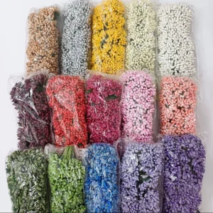 پک پرچم گل شکری 15رنگ (15بسته) عمده