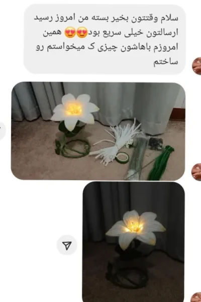 rezaiat (12)