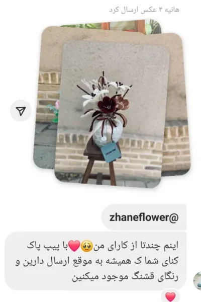 rezaiat (7) - Copy