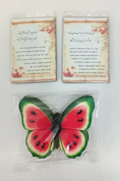 axse_basteh (4)