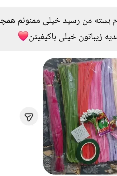 rezaiat (33)