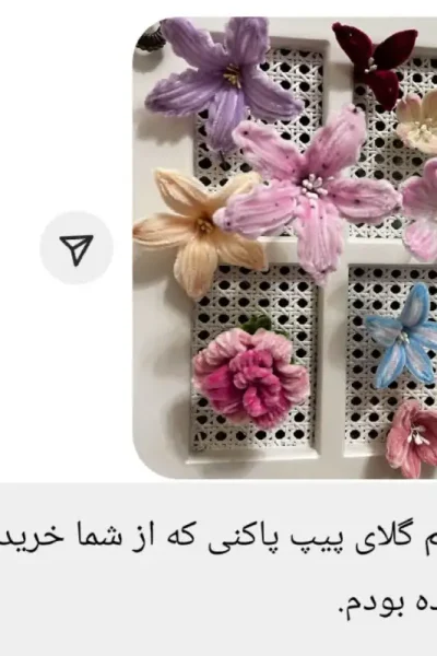 rezaiat (49)