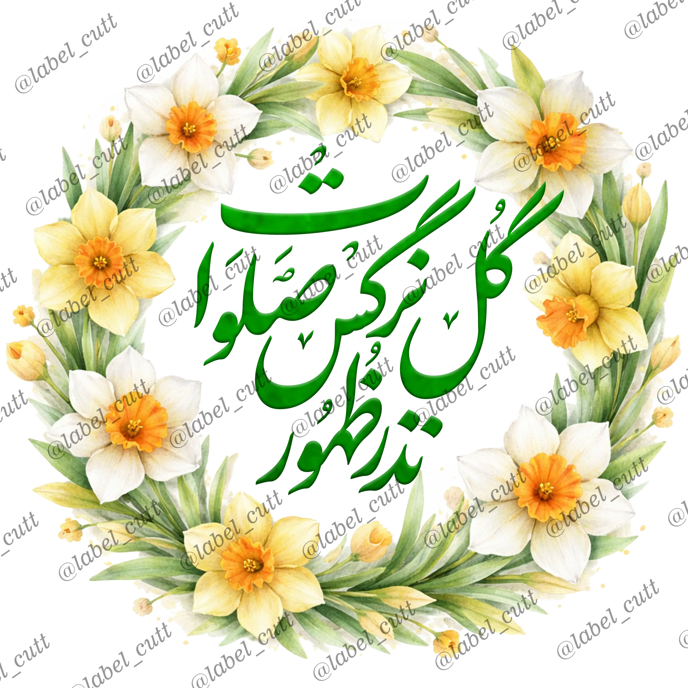 نذر copy